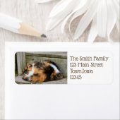 ナプタイム ラベル (インサイチュ)