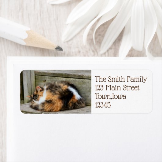 ナプタイム ラベル (インサイチュ)