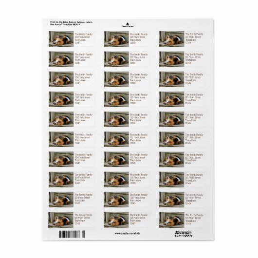 ナプタイム ラベル (フルシート)