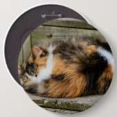 ナプタイム 缶バッジ (正面&裏面)