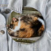 ナプタイム 缶バッジ (インサイチュ)