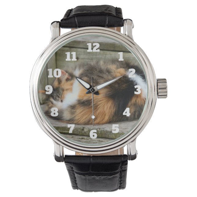 ナプタイム 腕時計 (正面)