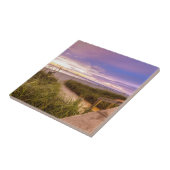 ナポリのビーチフロリダ タイル (側面)