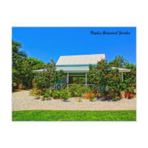 ナポリズフロリダボタニカルガーデンカリブの – ガーデン