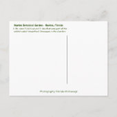 ナポリズフロリダボタニカルガーデン – Tレックス恐竜 ポストカード (裏面)