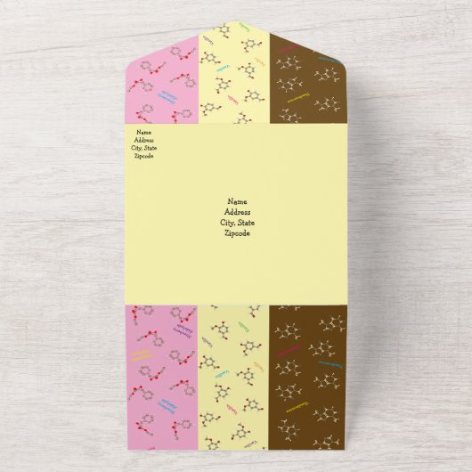 ナポリタンアイスクリーム化学科学パーティー オールインワン招待状 (外側)