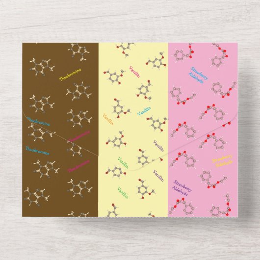 ナポリタンアイスクリーム化学科学パーティー オールインワン招待状 (裏面)