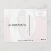 ナポリタン·アイスクリーム·パイ ポストカード (裏面)