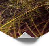 ナポリビーチショア&カム海 |フロリダ ポスター (角)