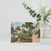 ナポリ,フロリダヴィンテージフィフスアベニュー1960s ポストカード (スタンド正面)
