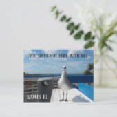 ナポリFLかわいいシーガルプリントビーチ ポストカード (スタンド正面)