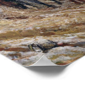 ナポレオン1814年、1864年 ポスター (角)