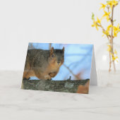 ナポレオン カード (黄色い花)