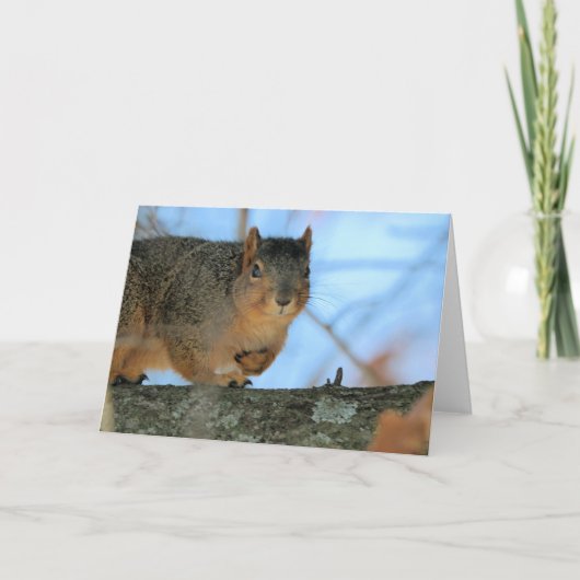 ナポレオン カード (正面)