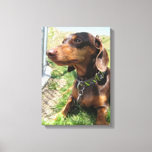 ナポレオン キャンバスプリント (正面)