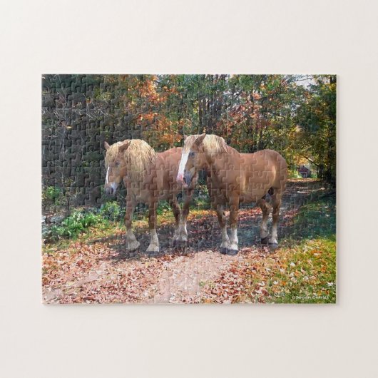 「ナポレオン&ジョセフィン」パズル ジグソーパズル (横)