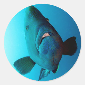 ナポレオン ラウンドシール