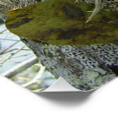 ナマケモノのように生きる ポスター (コーナー)