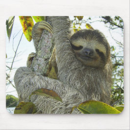 ナマケモノのように生きる マウスパッド