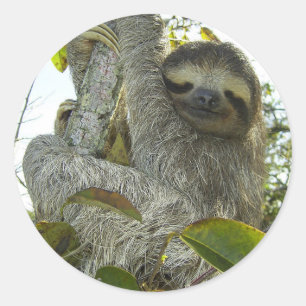 ナマケモノのように生きる ラウンドシール