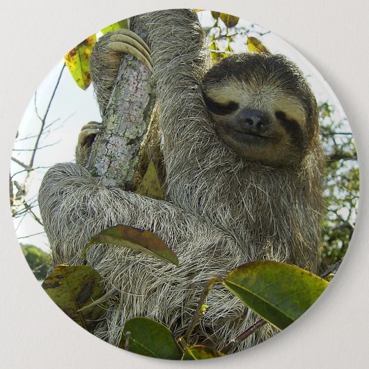 ナマケモノのように生きる 缶バッジ (正面)