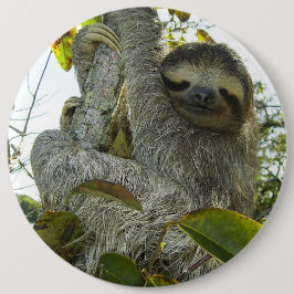 ナマケモノのように生きる 缶バッジ