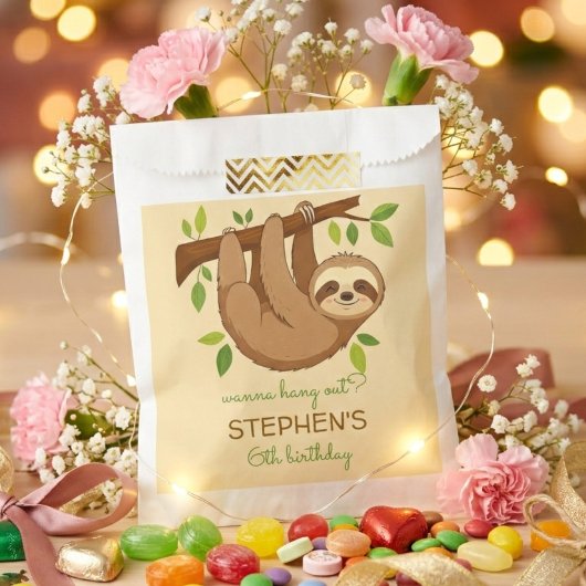 ナマケモノの子供の誕生日をお祝いしよう フェイバーバッグ