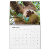 ナマケモノの12ヶ月カレンダー ナマケモノの写真 カレンダー (1月 2027)