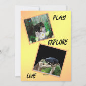 ナマケモノユニークだ。 シーズンカード (裏面)