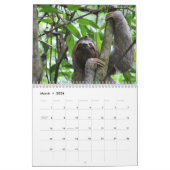 ナマケモノ12ヶ月カレンダナマケモノの写真 カレンダー (3月 2026)