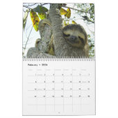 ナマケモノ12ヶ月カレンダナマケモノの写真 カレンダー (2月 2026)