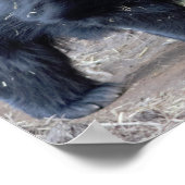 ナマケモノ ポスター (角)