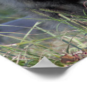 ナマケモノ ポスター (角)