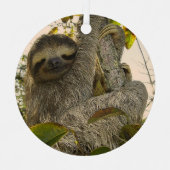 ナマケモノ メタルオーナメント (正面)