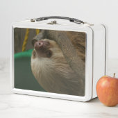 ナマケモノ メタルランチボックス (インサイチュ)