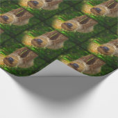 ナマケモノ ラッピングペーパー (角)