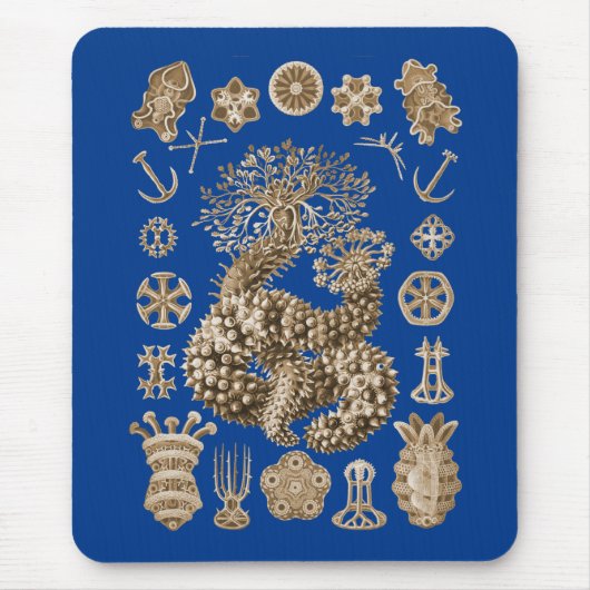 ナマコ マウスパッド (正面)