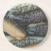 ナマコ…ヨーワラートマーケットフード コースター (正面)