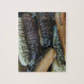 ナマコ…ヨーワラートマーケットフード ジグソーパズル (縦)