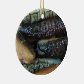 ナマコ…ヨーワラートマーケットフード セラミックオーナメント (右)