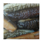 ナマコ…ヨーワラートマーケットフード タイル (正面)