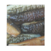 ナマコ…ヨーワラートマーケットフード ノートパッド (正面)