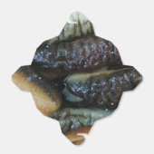 ナマコ…ヨーワラートマーケットフード フェイバーボックス (折り畳みなし)