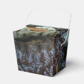 ナマコ…ヨーワラートマーケットフード フェイバーボックス (正面サイド)