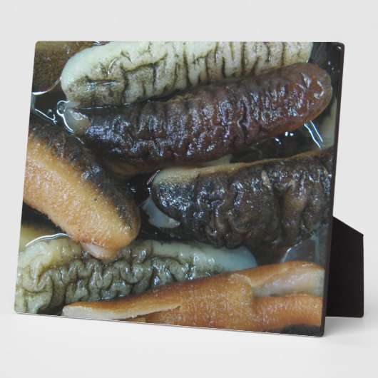 ナマコ…ヨーワラートマーケットフード フォトプラーク (側面)