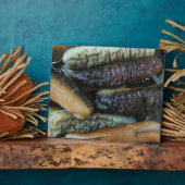 ナマコ…ヨーワラートマーケットフード フォトプラーク (側面)