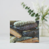 ナマコ…ヨーワラートマーケットフード ポストカード (スタンド正面)