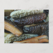 ナマコ…ヨーワラートマーケットフード ポストカード (正面)