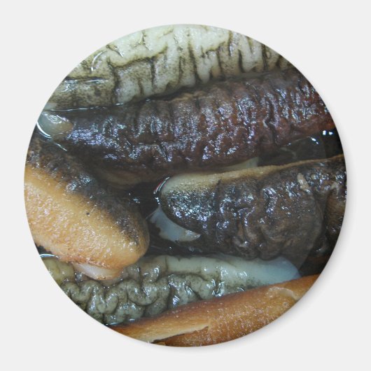 ナマコ…ヨーワラートマーケットフード マグネット (正面)