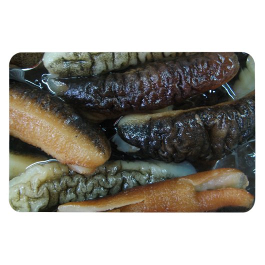 ナマコ…ヨーワラートマーケットフード マグネット (横)